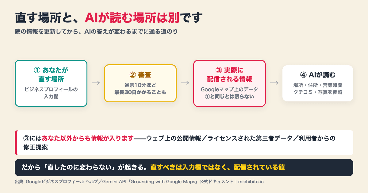 情報が反映されるまでの流れの図解。①あなたが直す場所はビジネスプロフィールの入力欄、②審査は通常10分ほどだが最長30日かかることもある、③実際に配信される情報はGoogleマップ上のデータで①と同じとは限らない、④AIはその配信データの場所・住所・営業時間・クチコミ・写真を読む。③にはウェブ上の公開情報、ライセンスされた第三者データ、利用者からの修正提案も入る